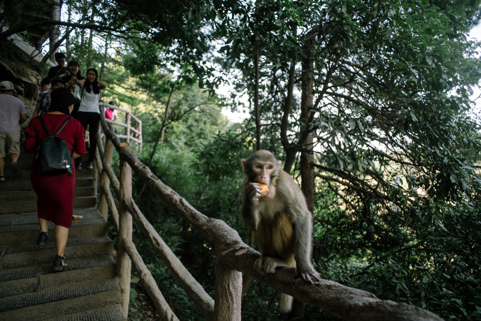 China Like Never Before, Changsha Zhangjiajie Fenghuang