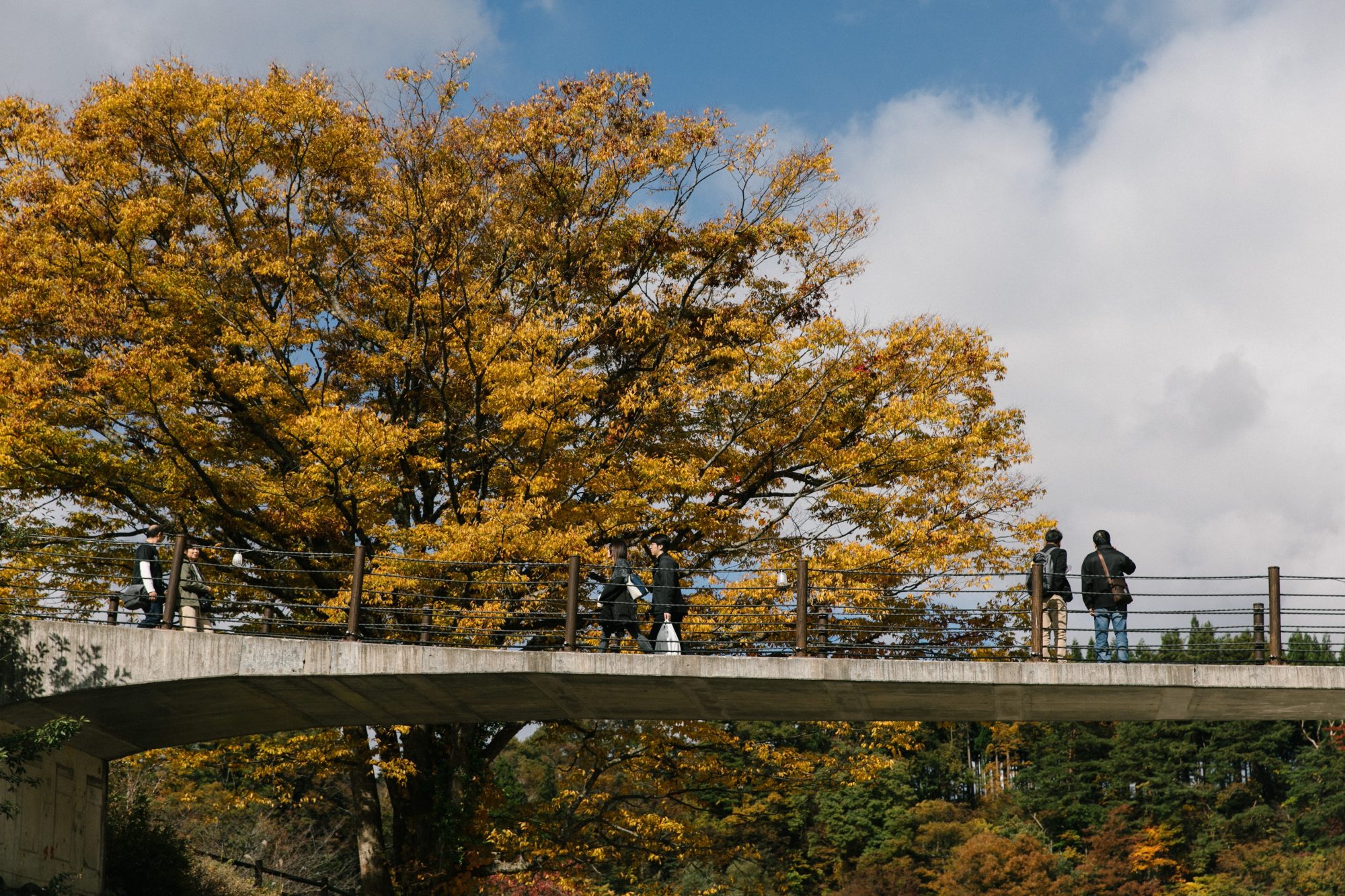 Autumn Checklists in NAGOYA.