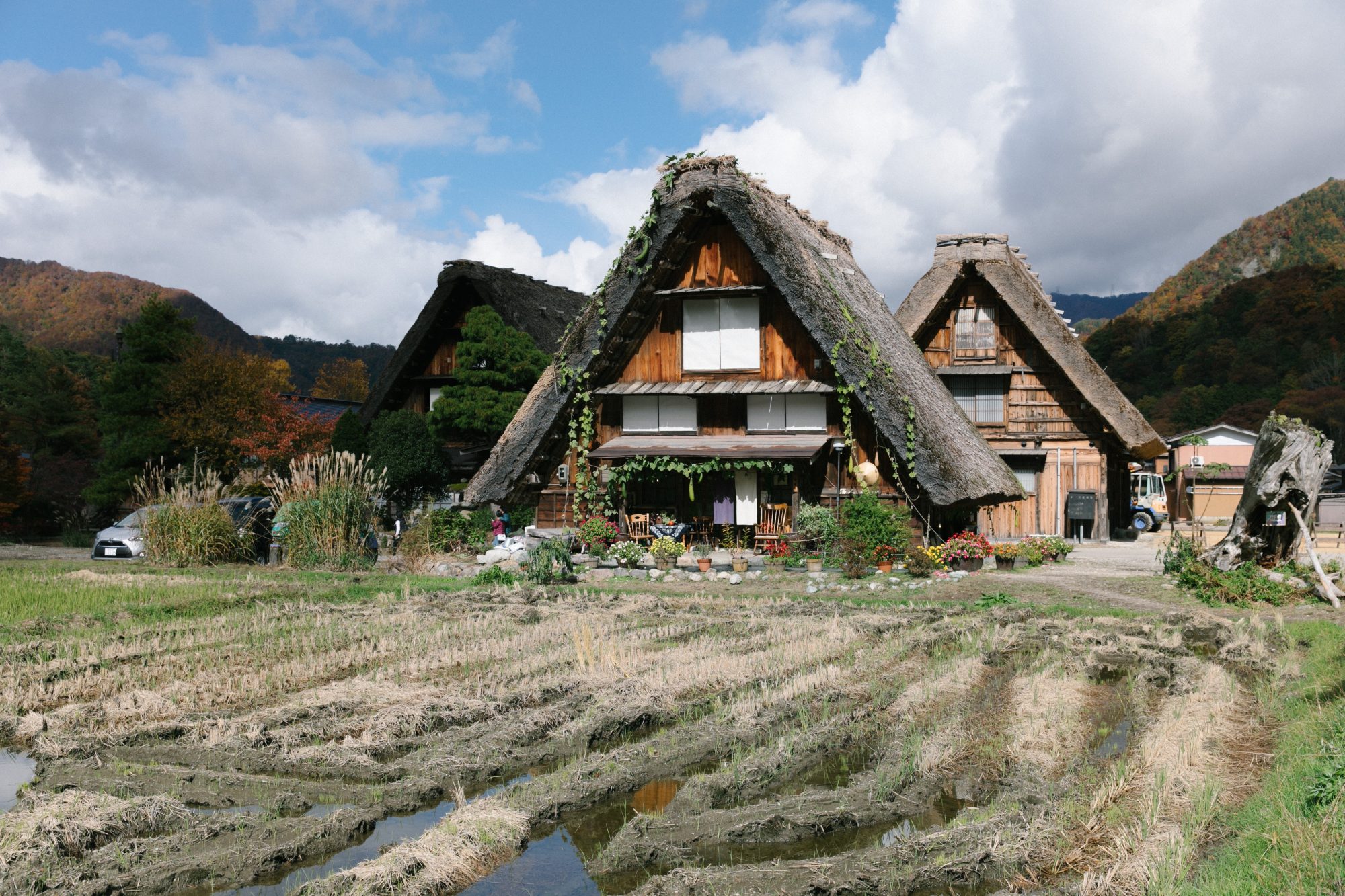 Autumn Checklists in NAGOYA.