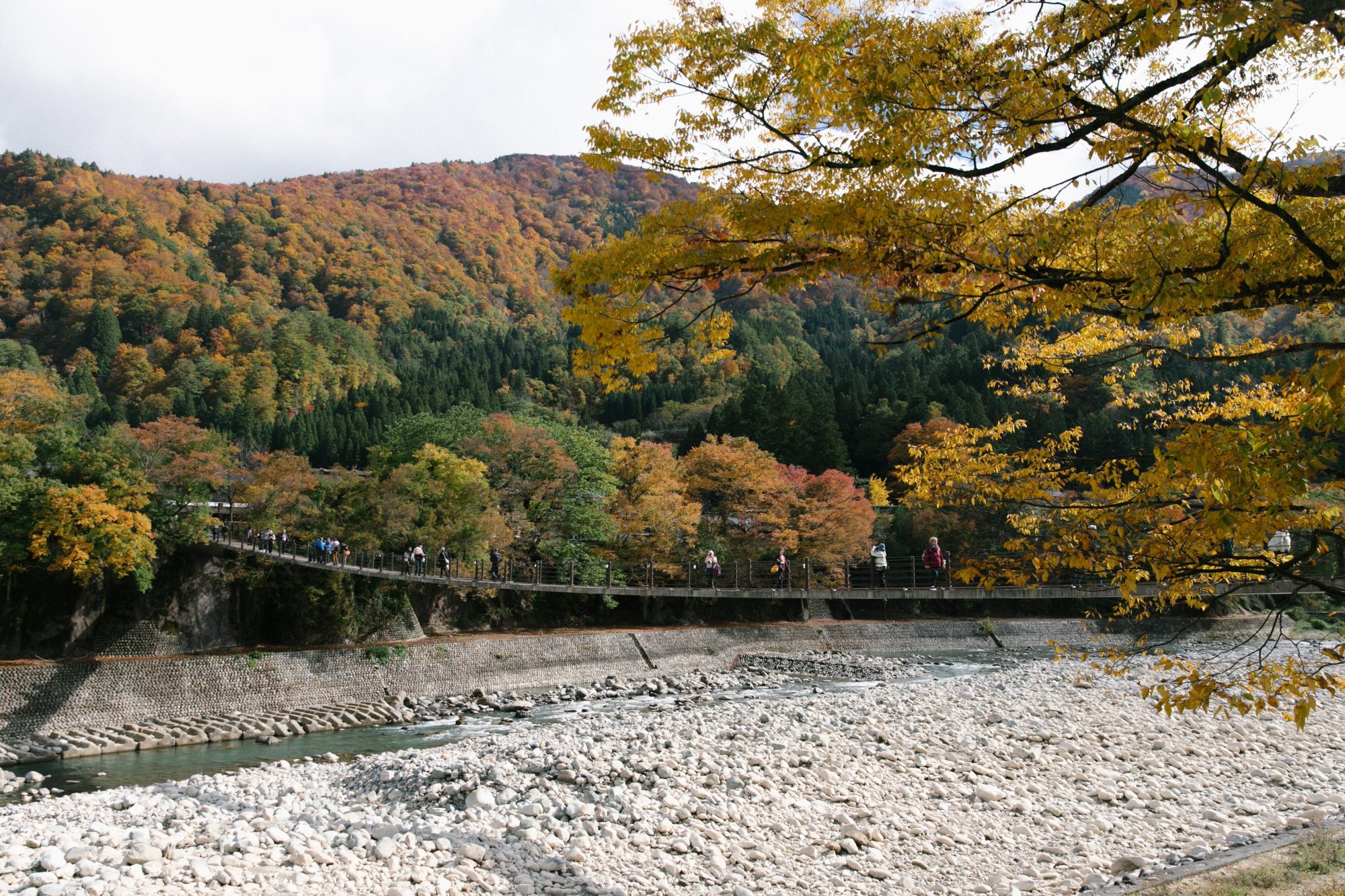 Autumn Checklists in NAGOYA.