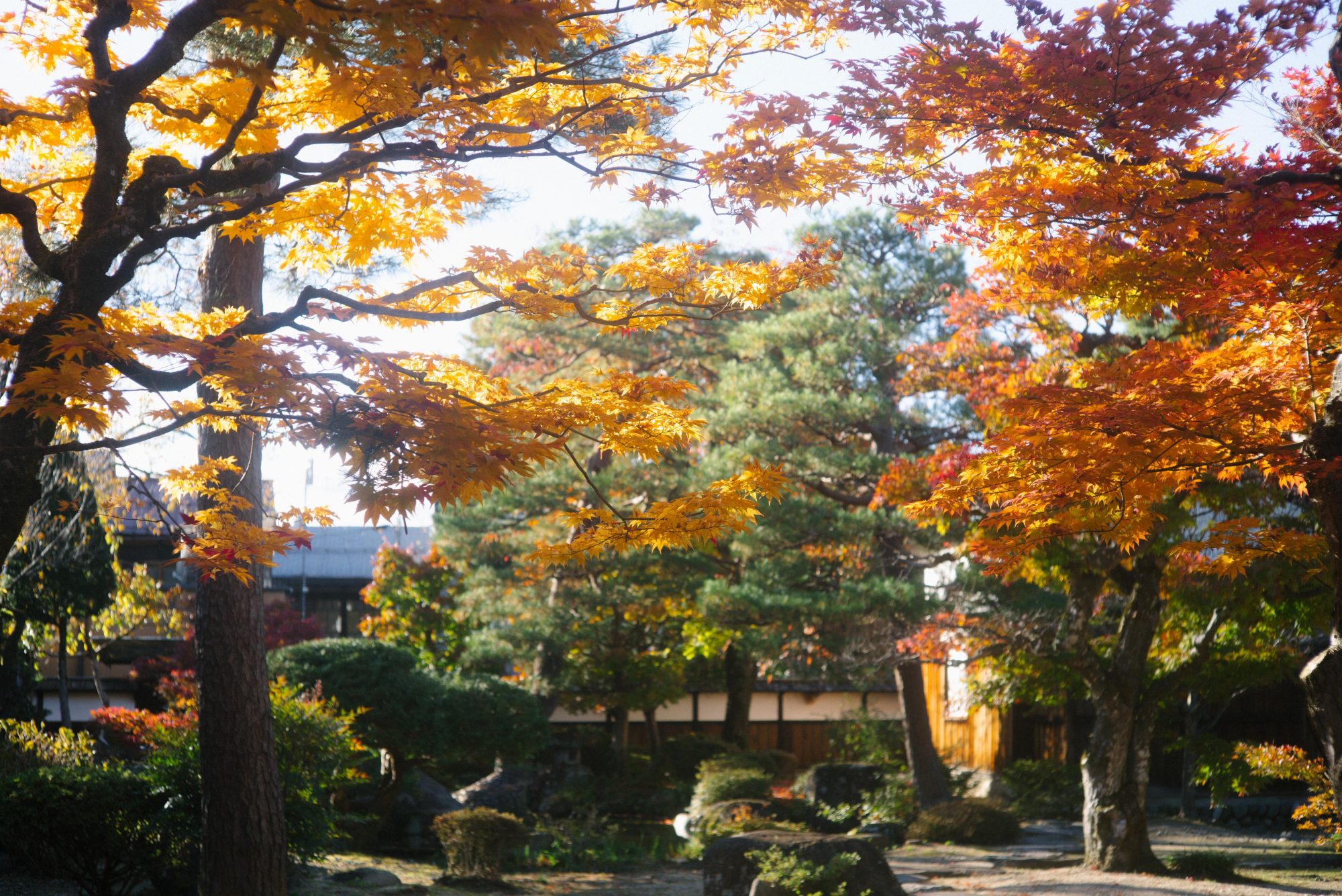 Autumn Checklists in NAGOYA.