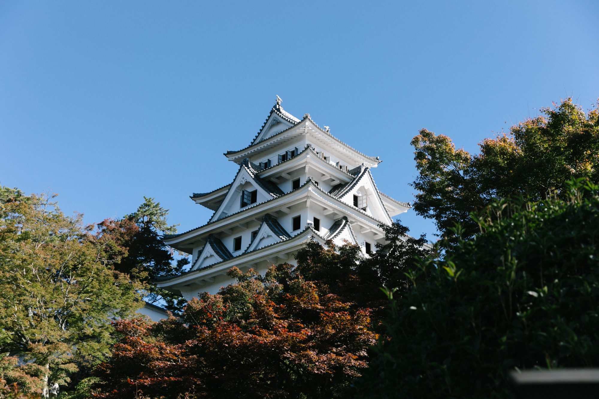 Autumn Checklists in NAGOYA.