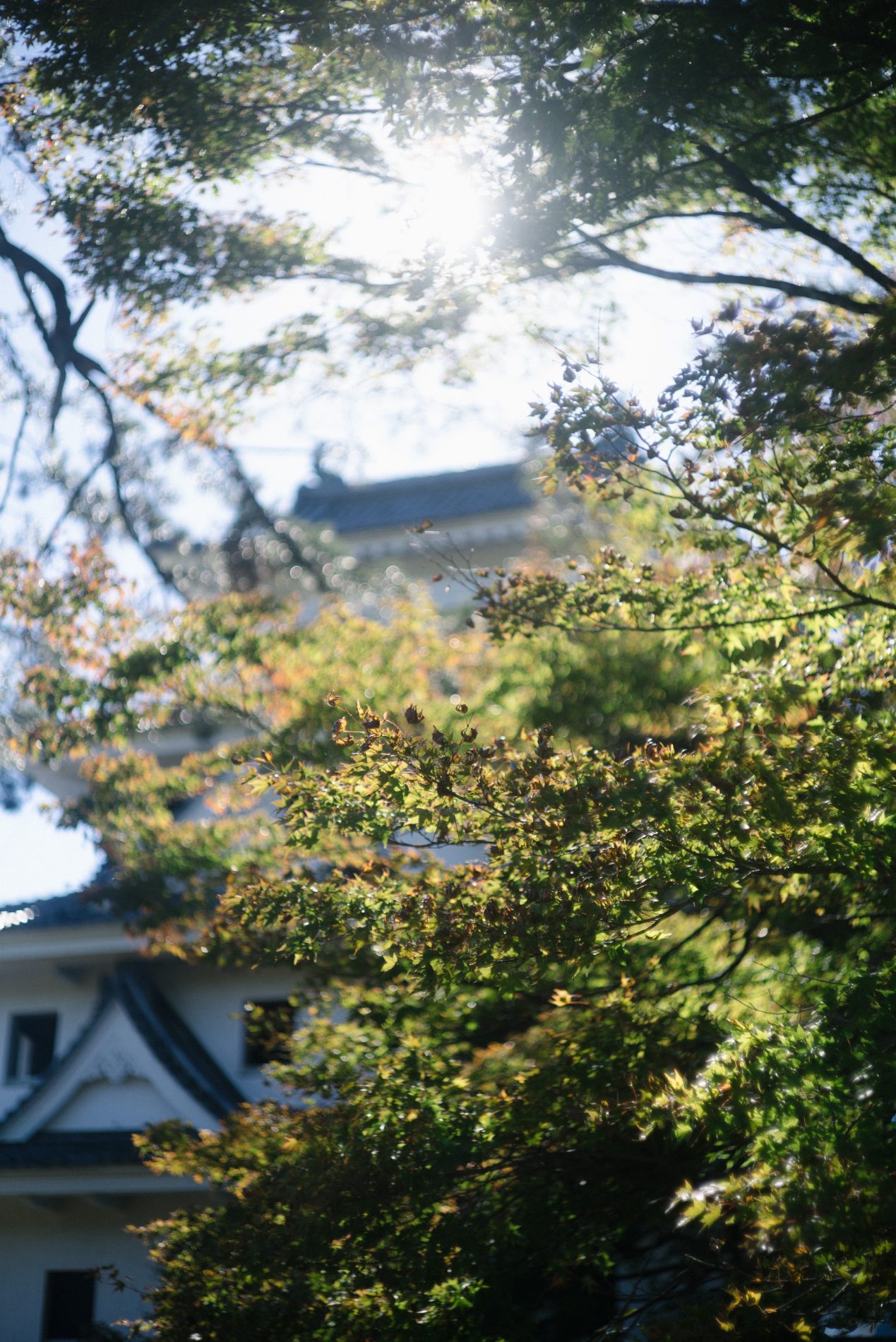 Autumn Checklists in NAGOYA.