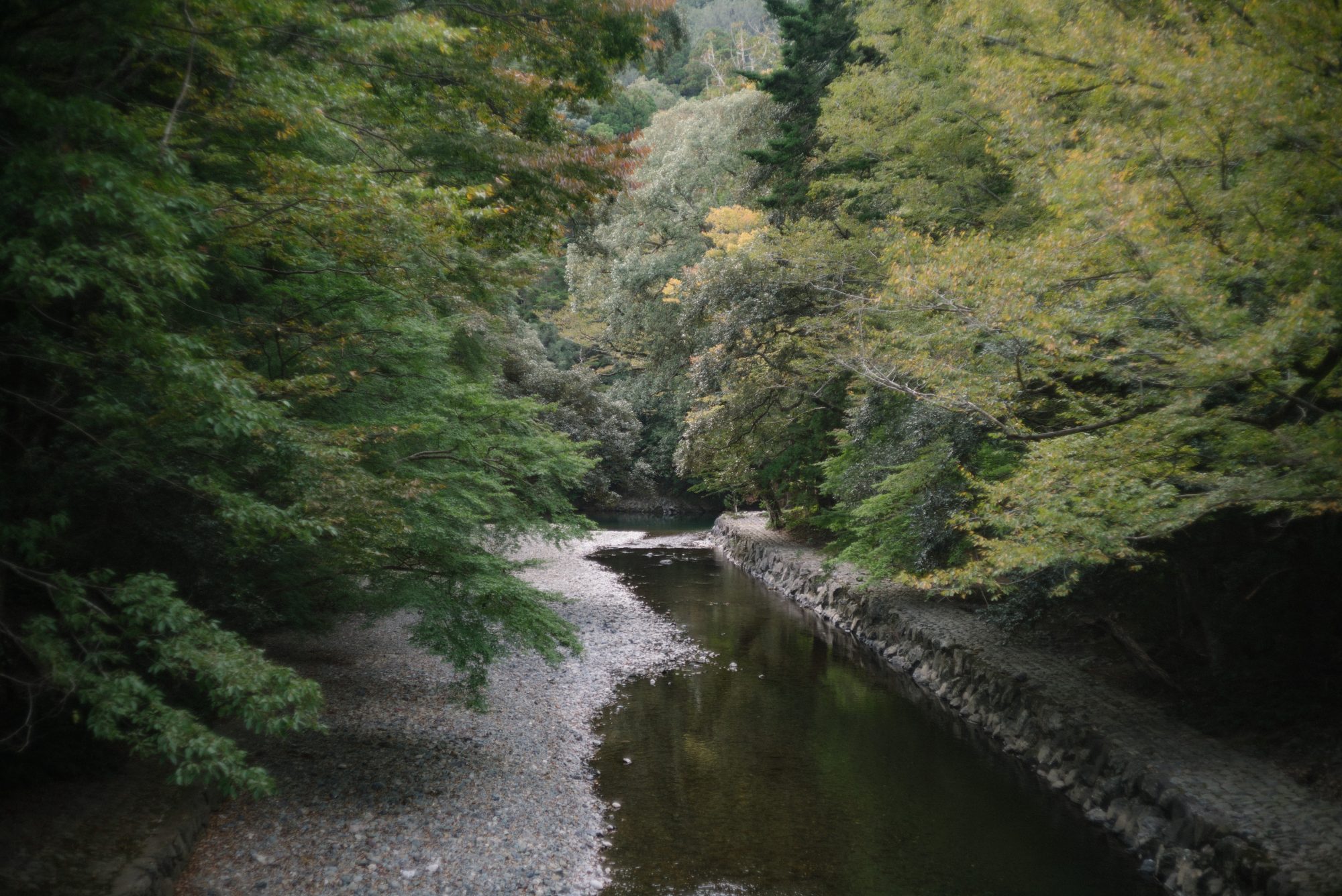 Autumn Checklists in NAGOYA.