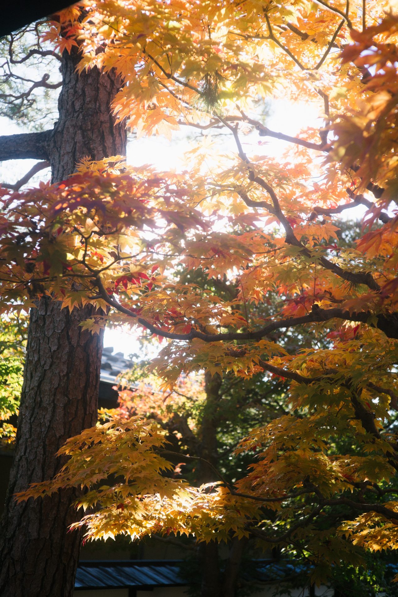 Autumn Checklists in NAGOYA.