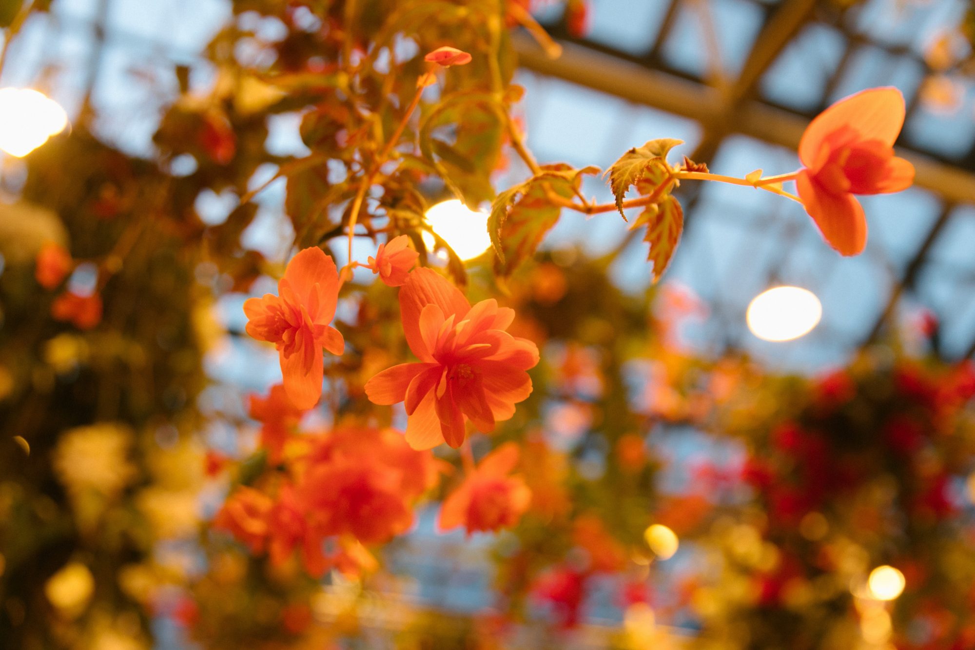 Autumn Checklists in NAGOYA.