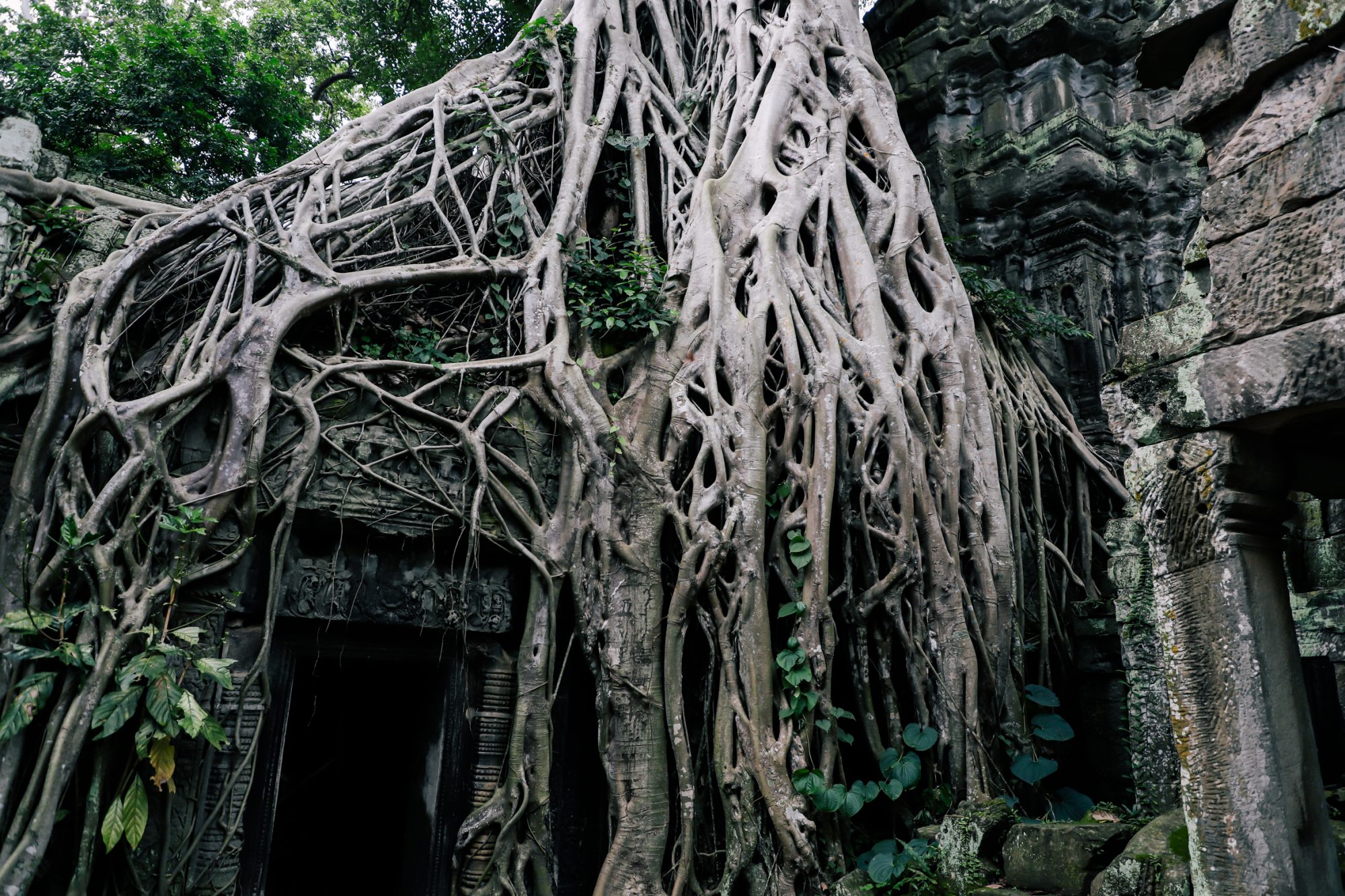 Hello Angkor! , SIEM REAP