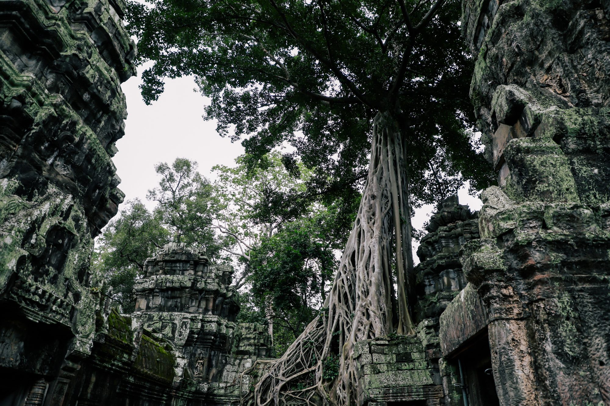 Hello Angkor! , SIEM REAP