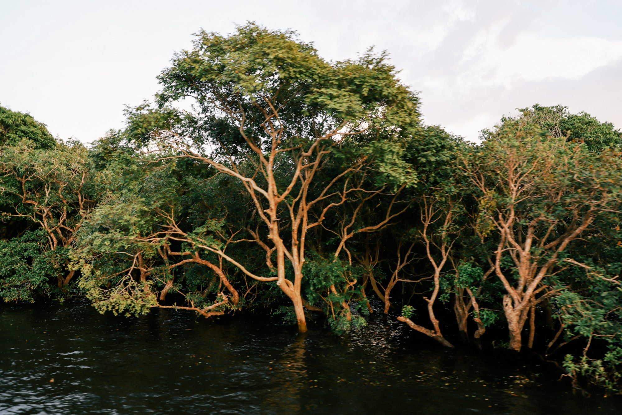 Hello Angkor! , SIEM REAP