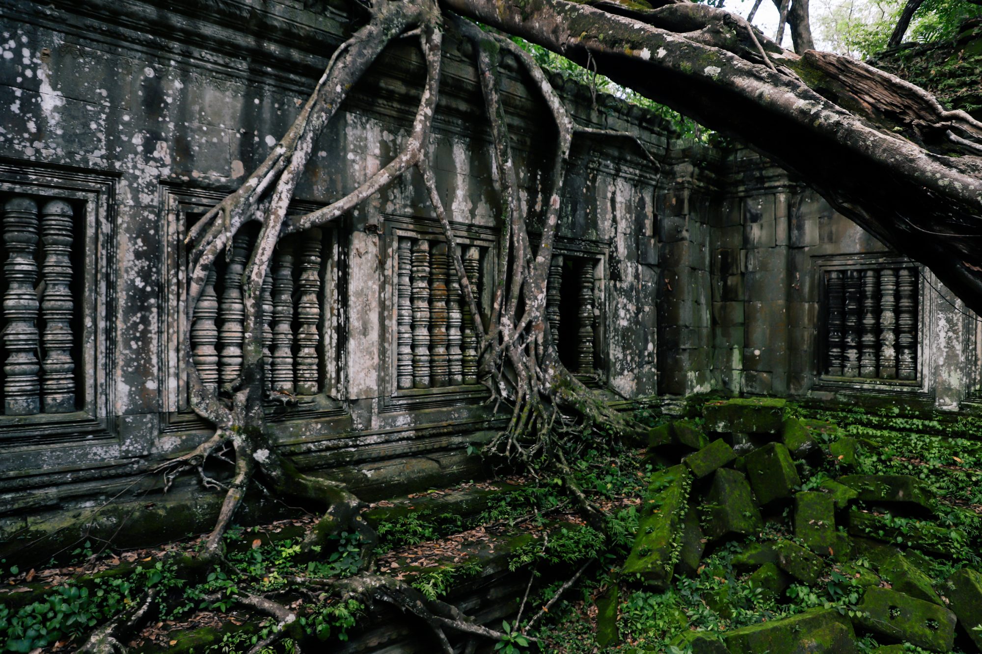 Hello Angkor! , SIEM REAP