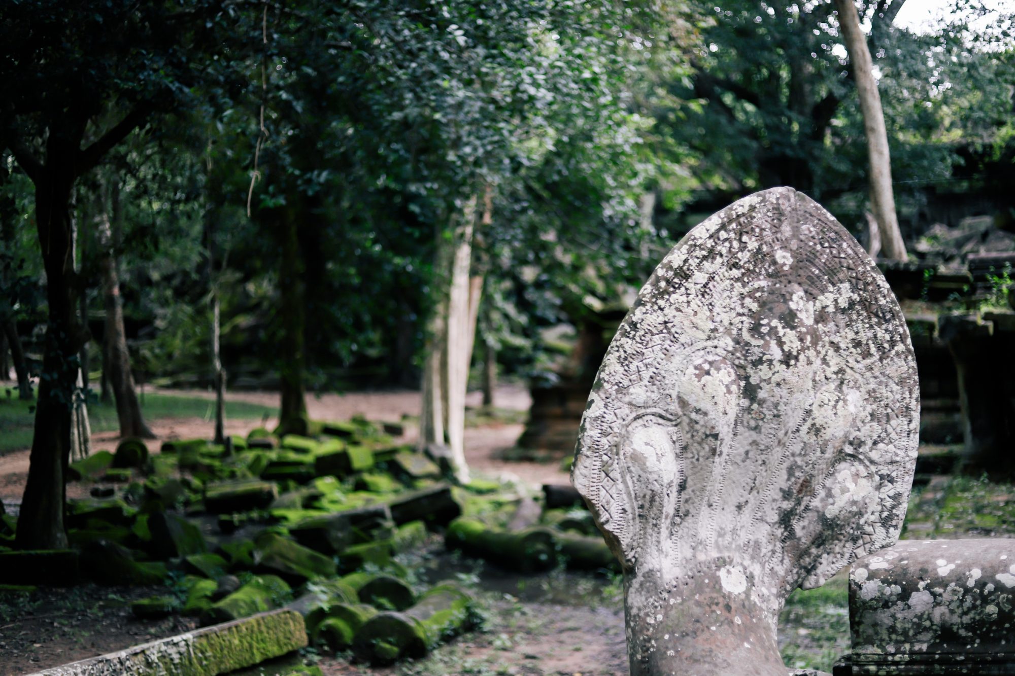 Hello Angkor! , SIEM REAP