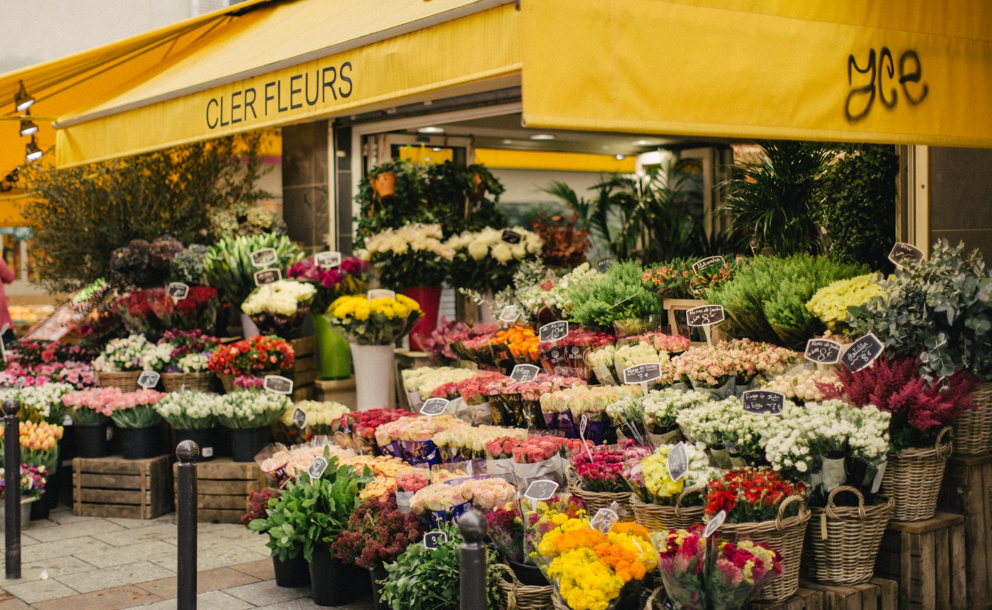 Travel as a gift to life, PARIS.