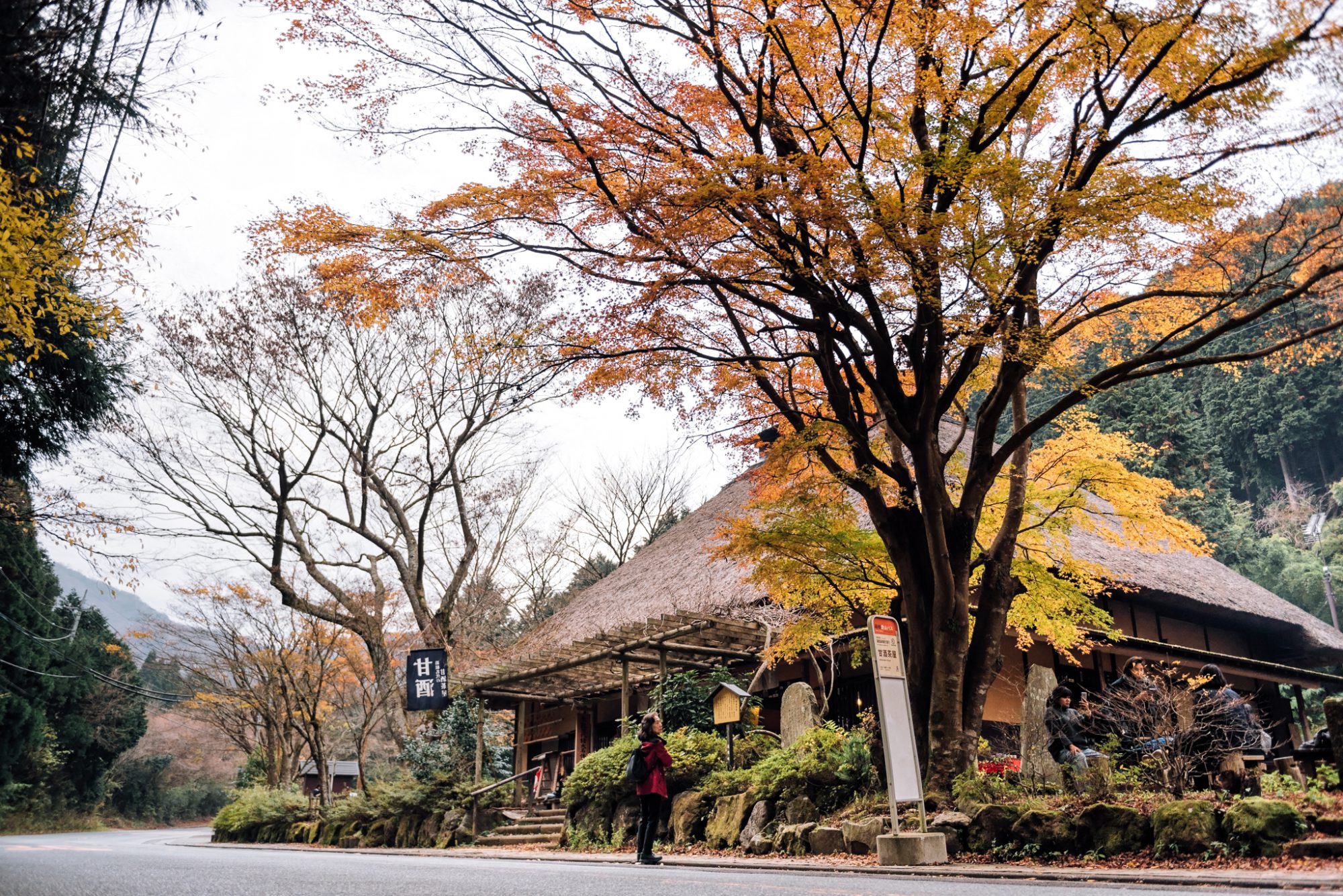 Wherever the trains take me, JAPAN