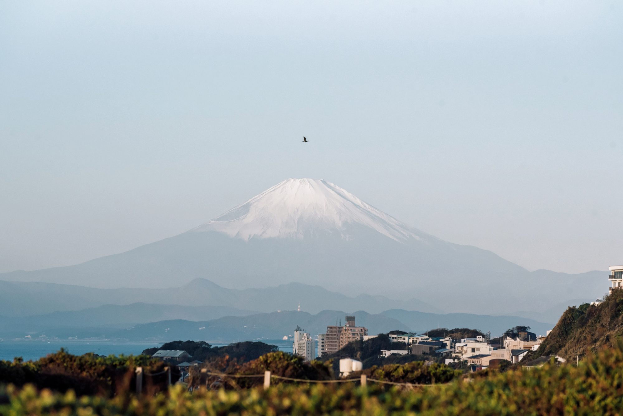 Wherever the trains take me, JAPAN