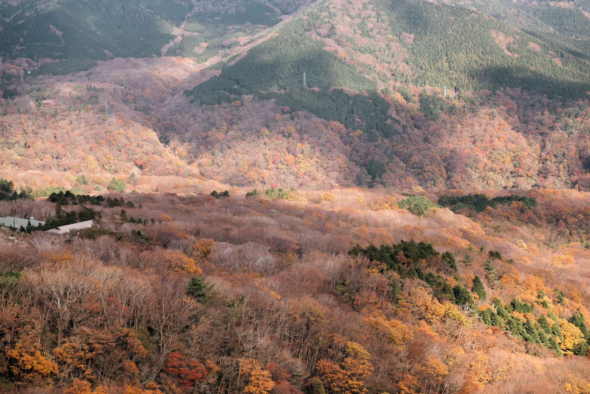 Wherever the trains take me, JAPAN