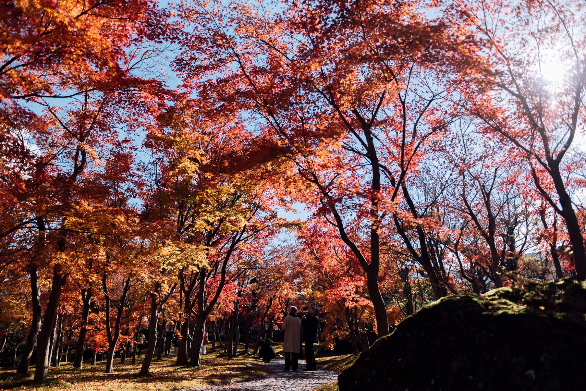 Wherever the trains take me, JAPAN