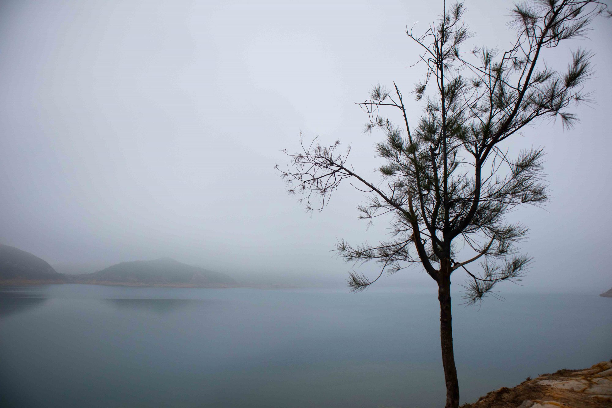 Photo Walk in HONG KONG.