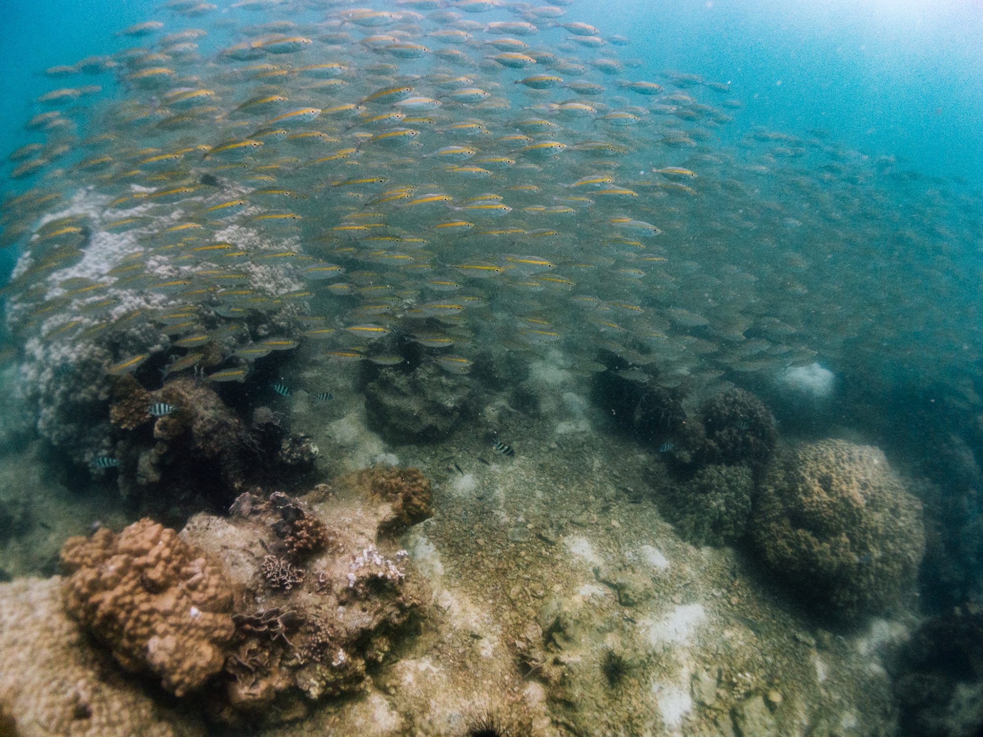 ชุมพร&#8217; หาดสวย ทะเลใส เที่ยวสนุกคุ้มวันลาในวันธรรมดากับเมืองรองที่ห้ามมองข้าม!