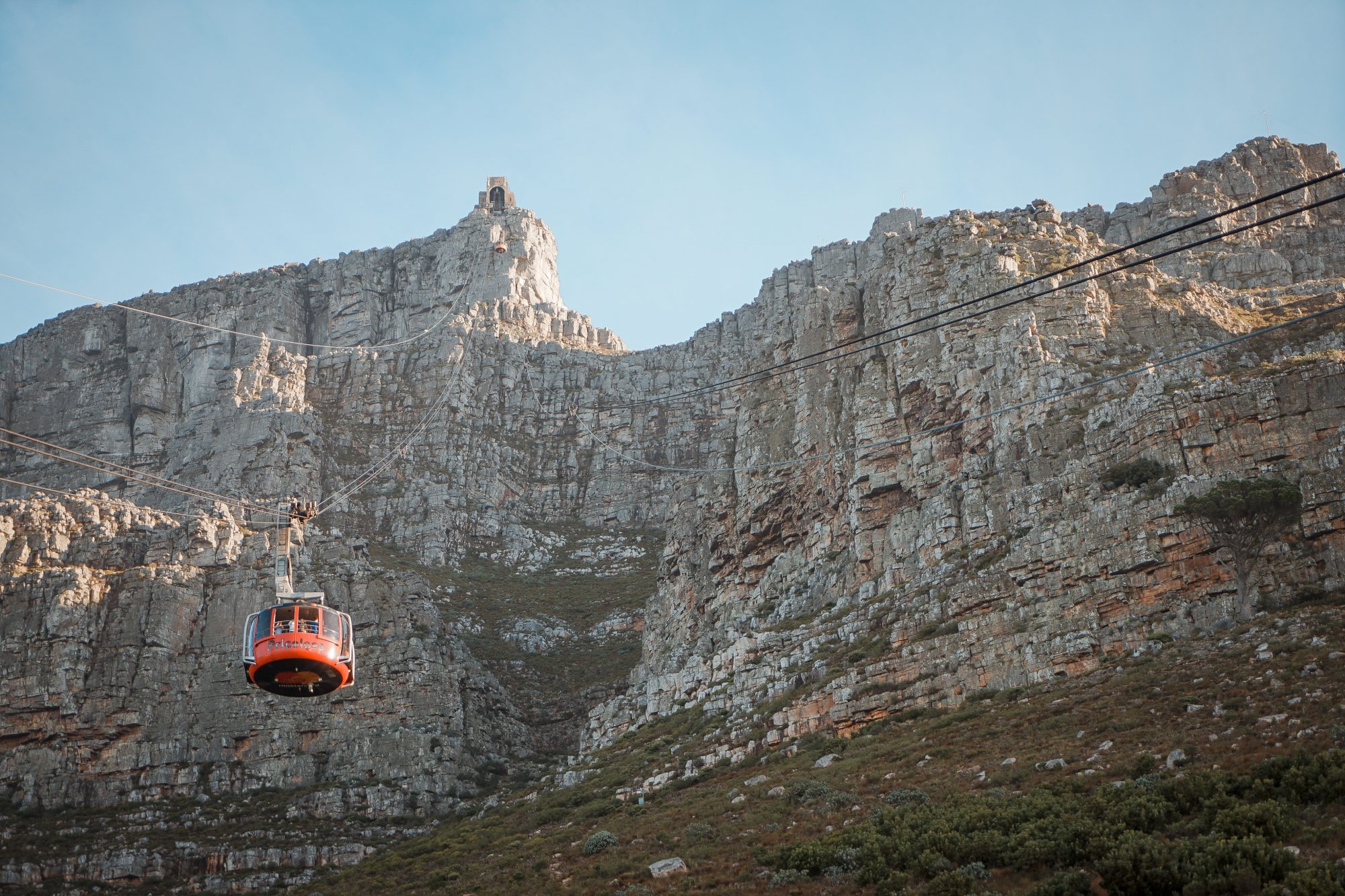 Deep in the Safari, South Africa.