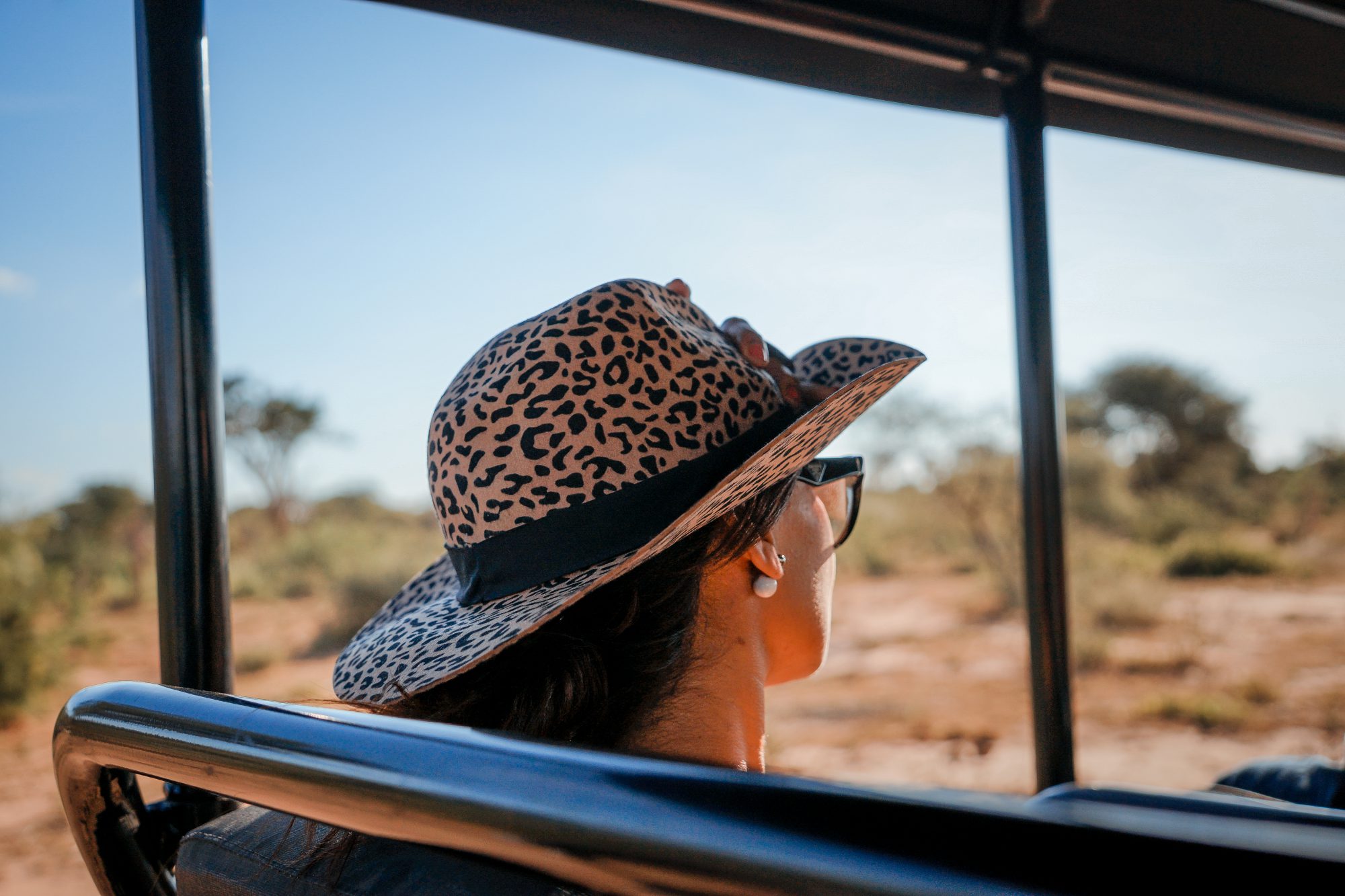 Deep in the Safari, South Africa.