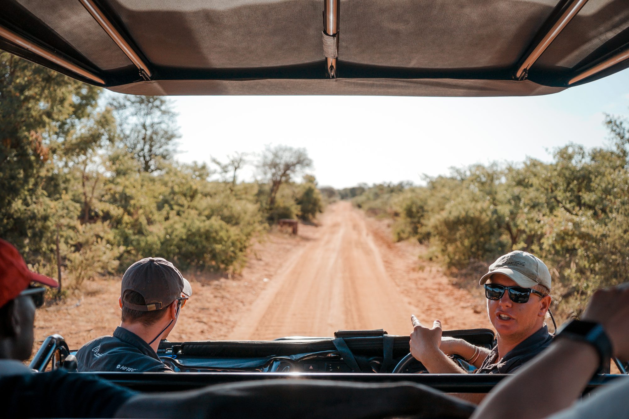 Deep in the Safari, South Africa.