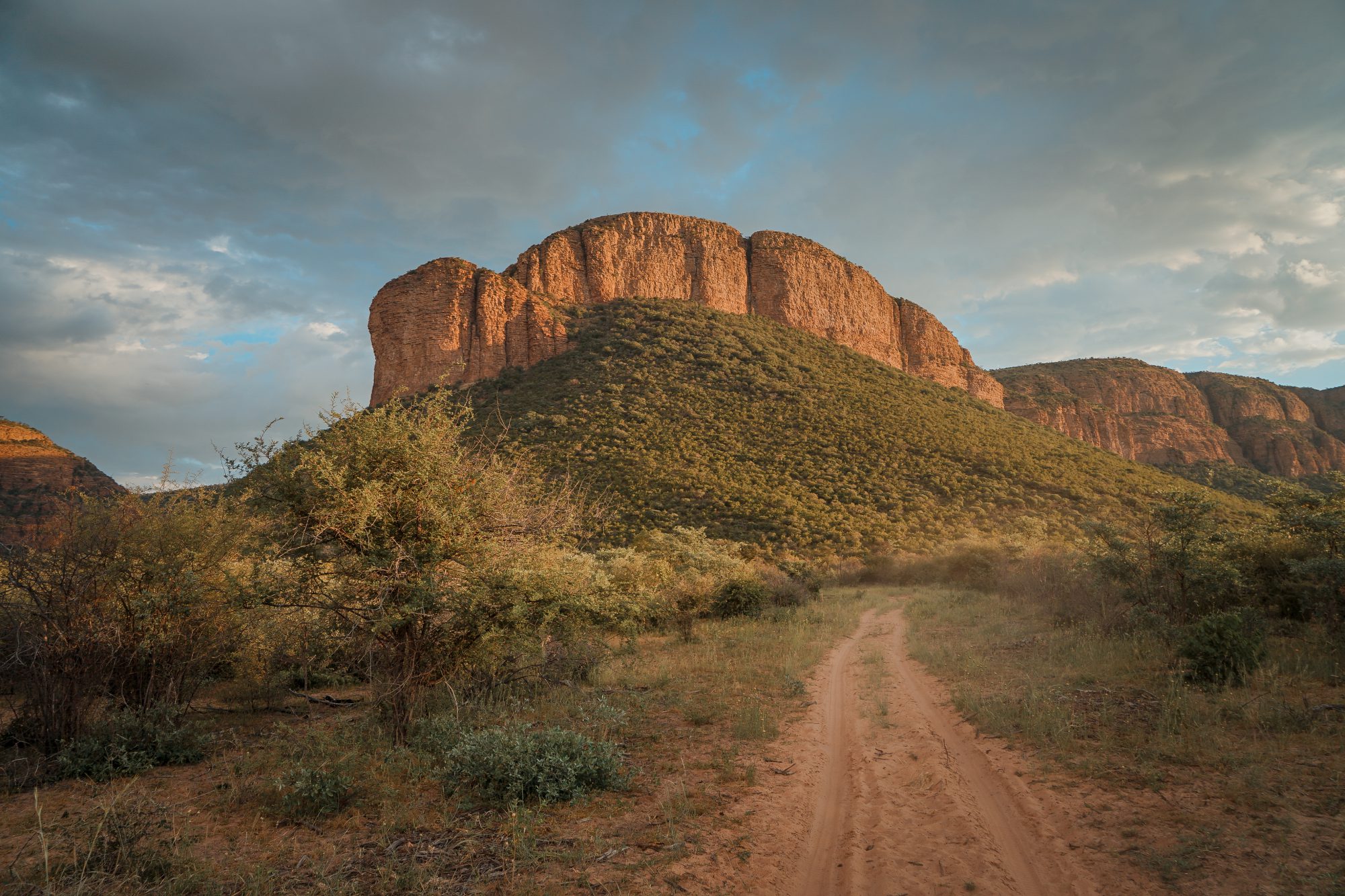 Deep in the Safari, South Africa.