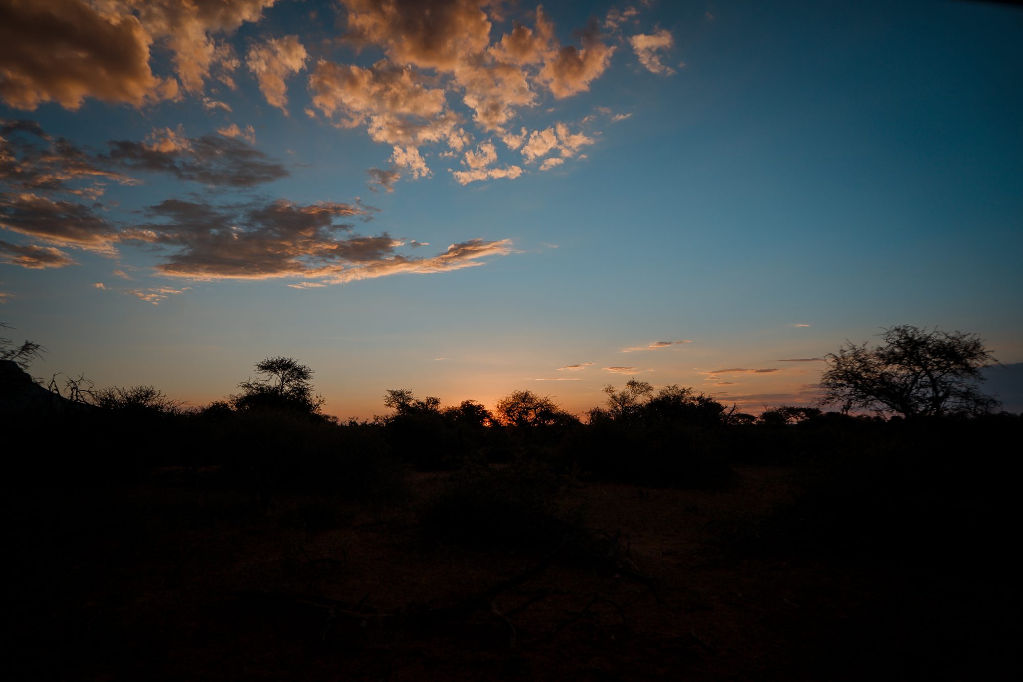 Deep in the Safari, South Africa.