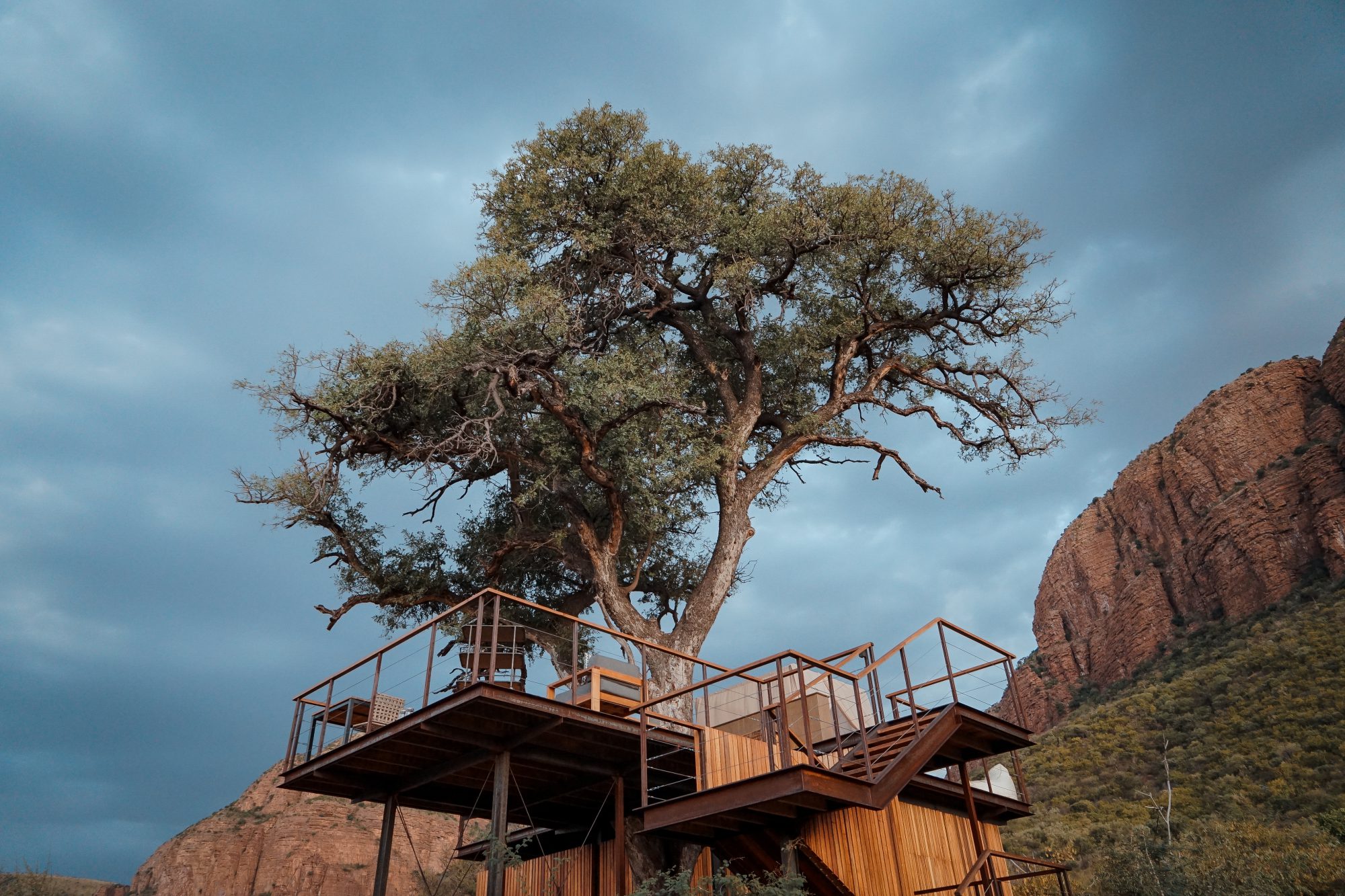 Deep in the Safari, South Africa.