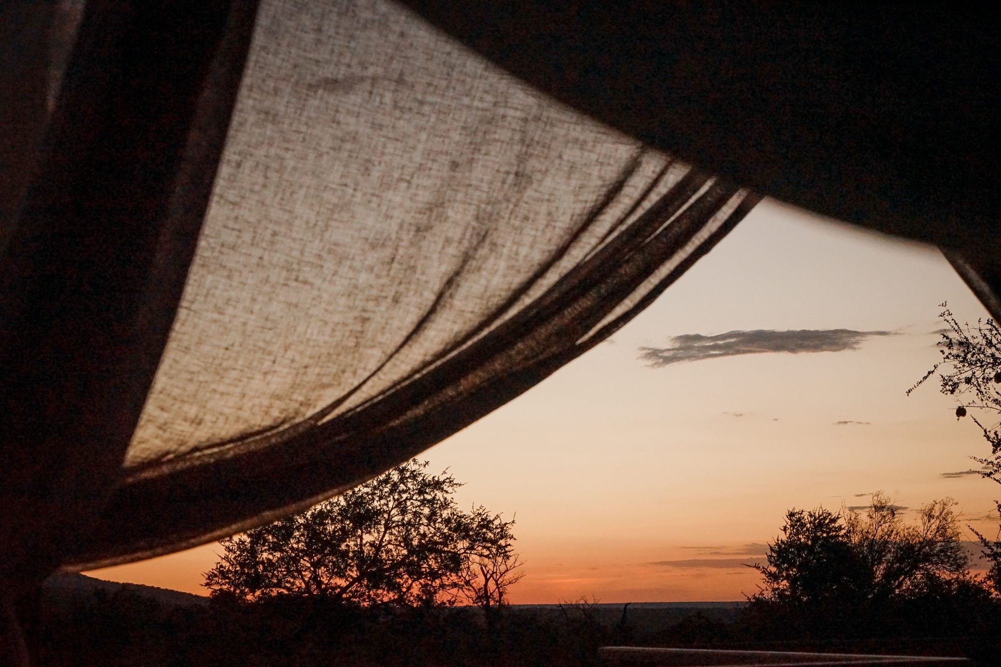 Deep in the Safari, South Africa.