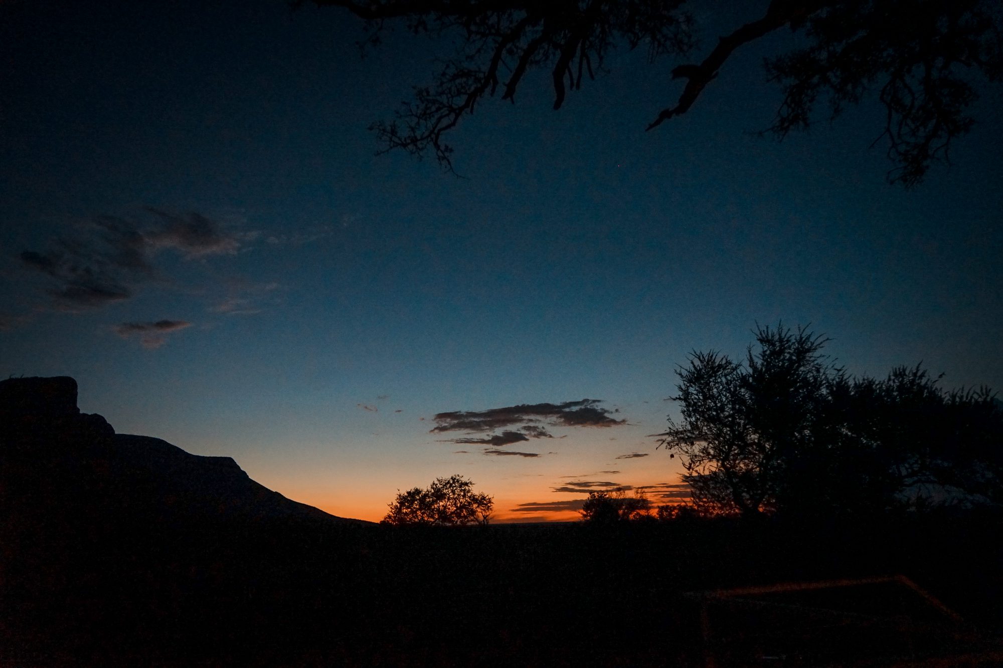 Deep in the Safari, South Africa.