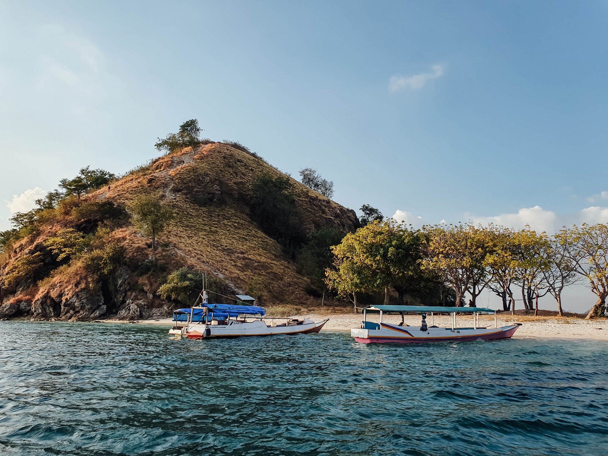 Live in No Land, Komodo &#8211; Flores Island!