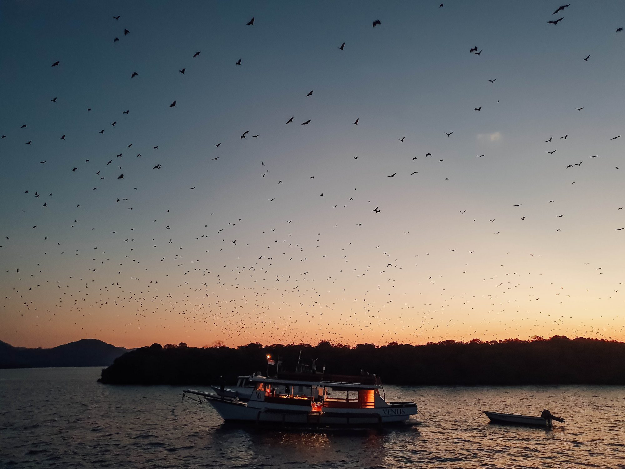 Live in No Land, Komodo &#8211; Flores Island!