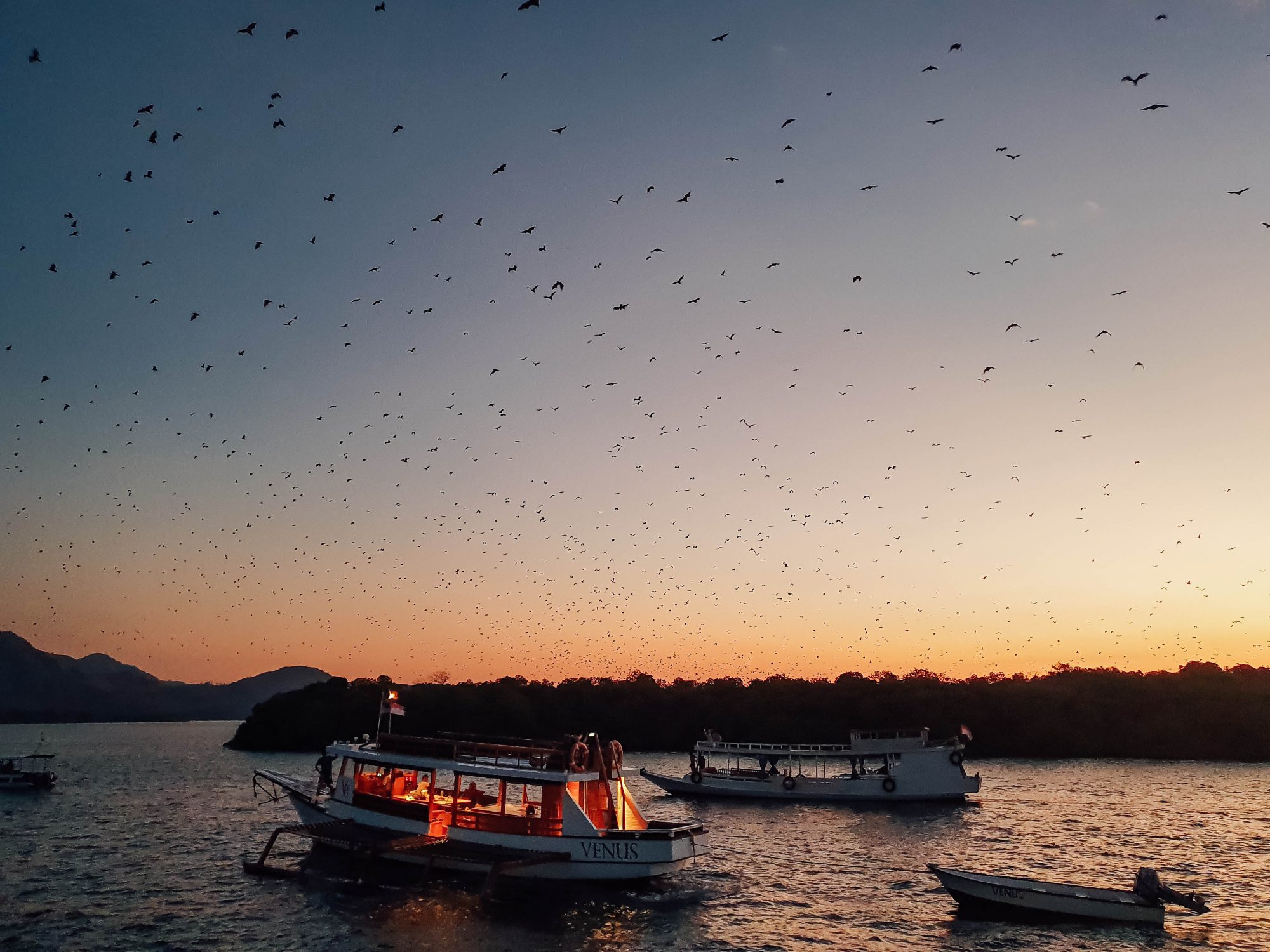 Live in No Land, Komodo &#8211; Flores Island!