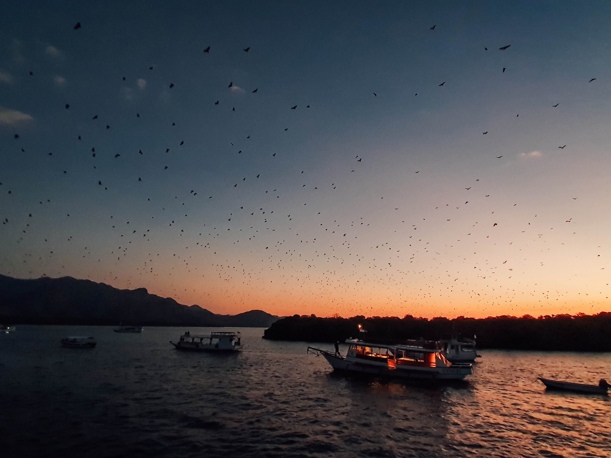 Live in No Land, Komodo &#8211; Flores Island!