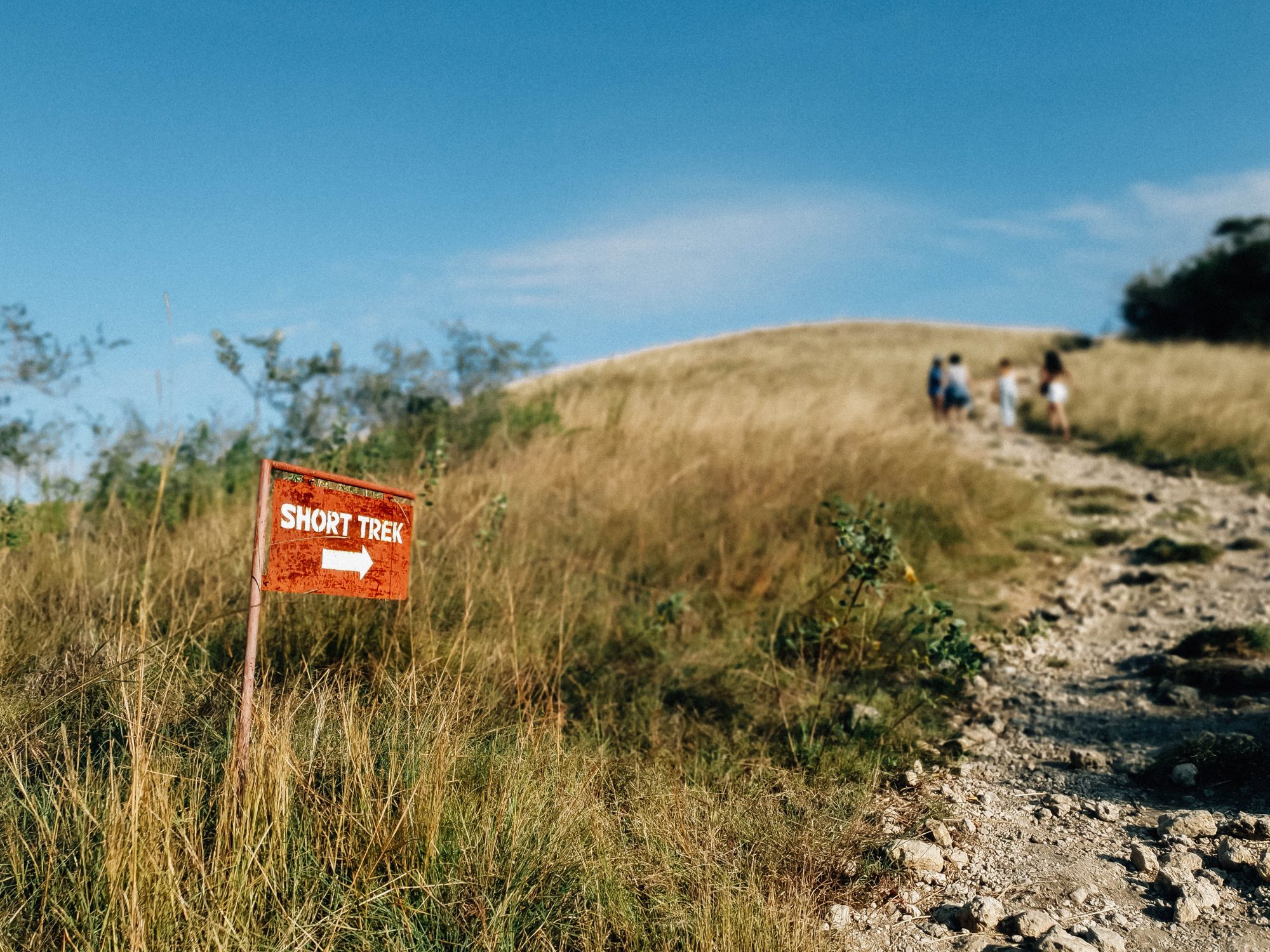 Live in No Land, Komodo &#8211; Flores Island!