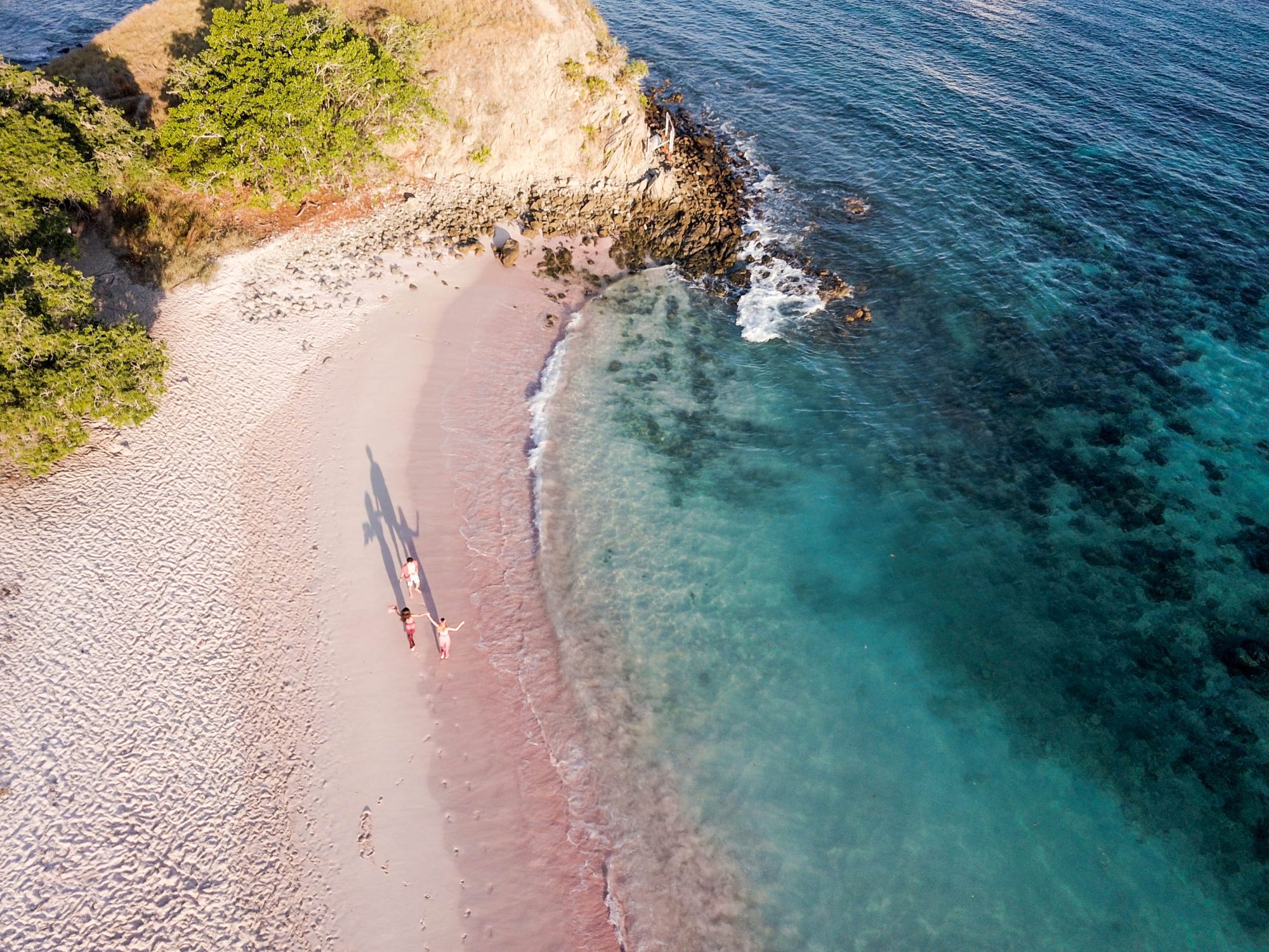 Live in No Land, Komodo &#8211; Flores Island!