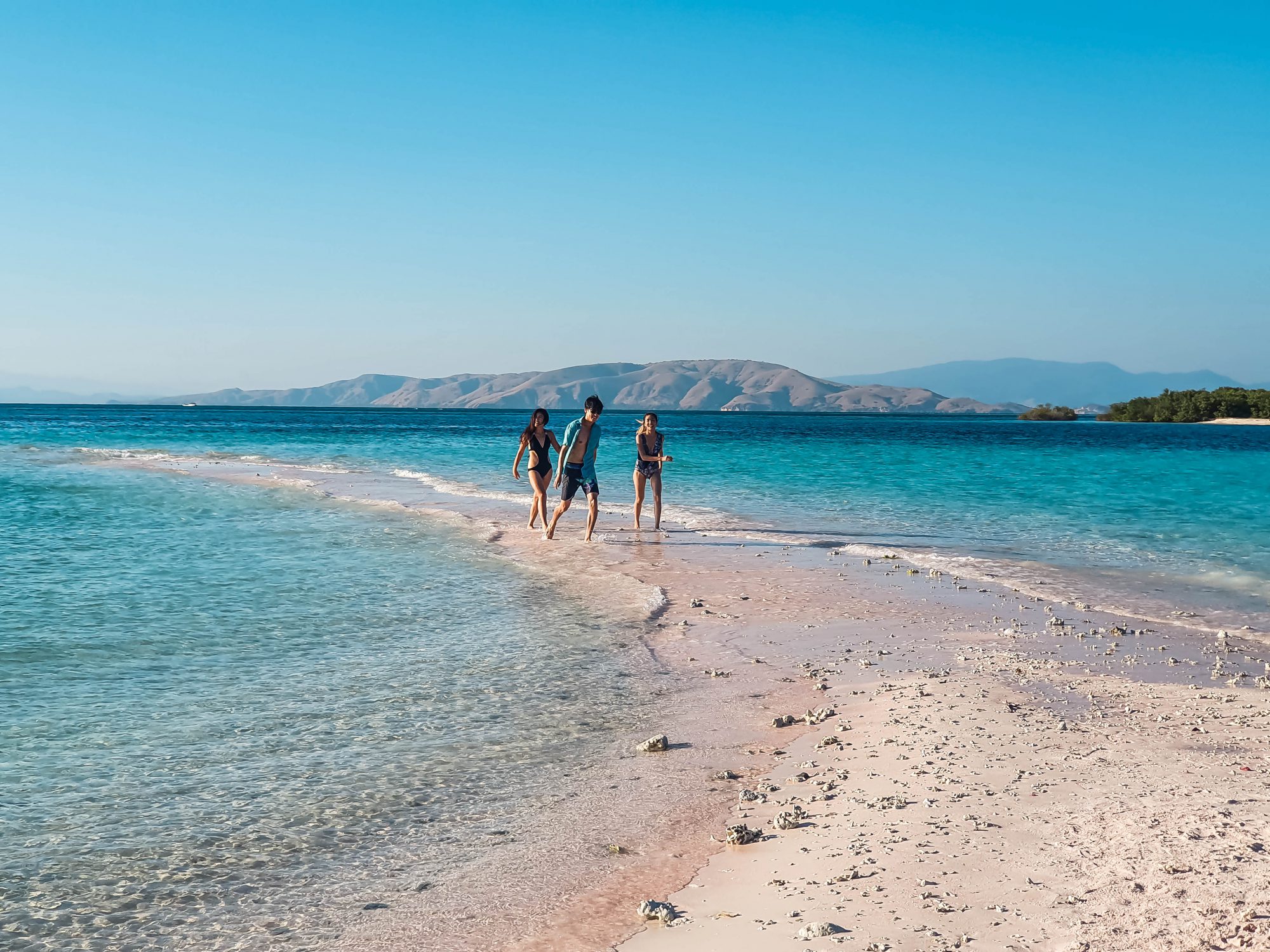 Live in No Land, Komodo &#8211; Flores Island!