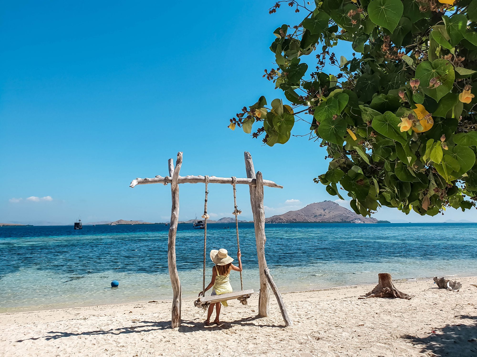 Live in No Land, Komodo &#8211; Flores Island!