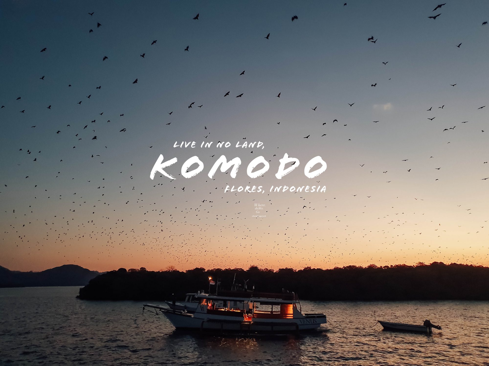 Live in No Land, Komodo &#8211; Flores Island!