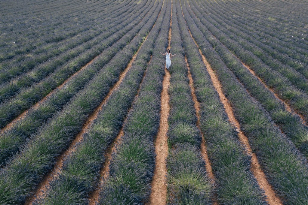 To The South of France, Relaxing Lavender Trip