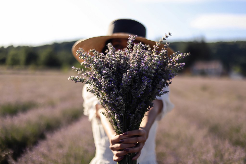 To The South of France, Relaxing Lavender Trip