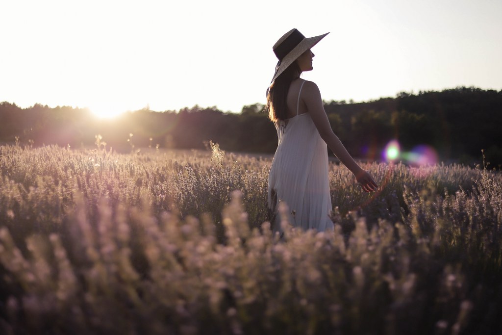 To The South of France, Relaxing Lavender Trip