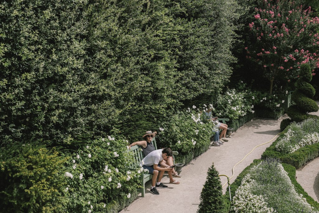 To The South of France, Relaxing Lavender Trip