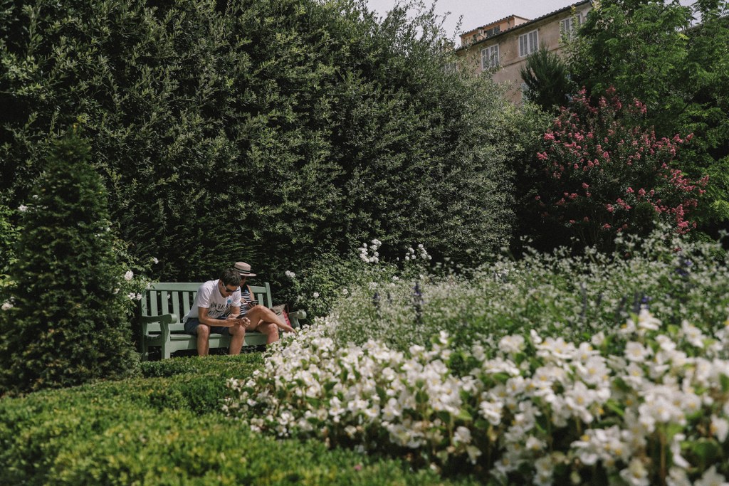 To The South of France, Relaxing Lavender Trip