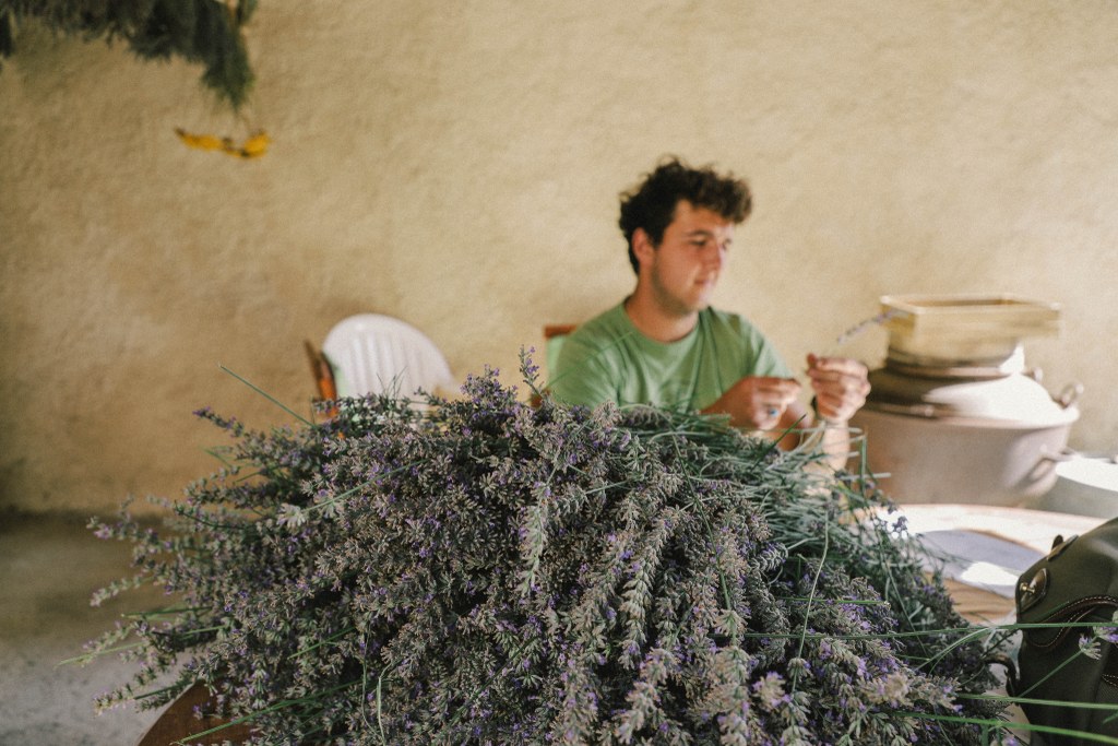 To The South of France, Relaxing Lavender Trip