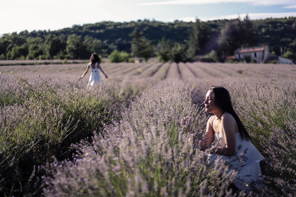 To The South of France, Relaxing Lavender Trip