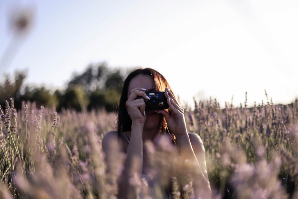 To The South of France, Relaxing Lavender Trip