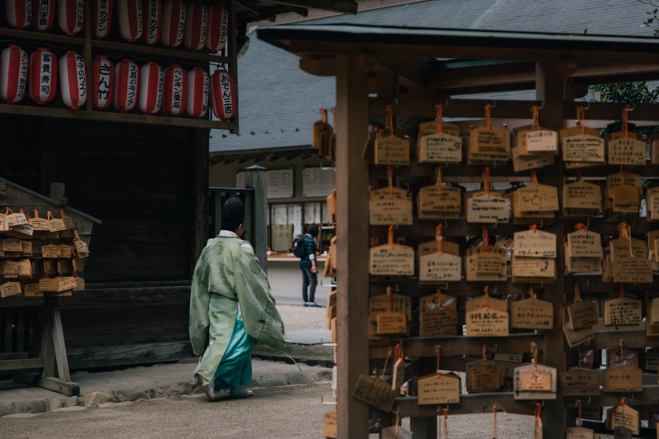 48 hrs. in the city of trees, SENDAI!