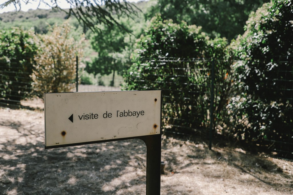 To The South of France, Relaxing Lavender Trip