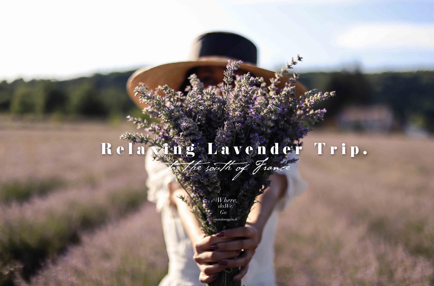 To The South of France, Relaxing Lavender Trip